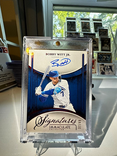 Panini immaculate collection - panini,